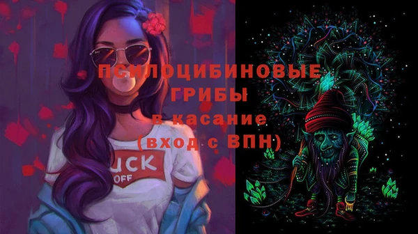 гашик Заволжье