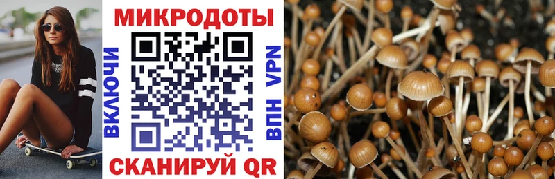 Псилоцибиновые грибы Psilocybine cubensis  Муром 
