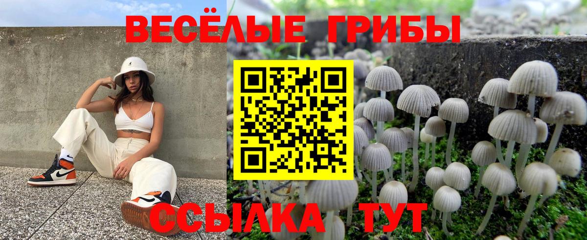 Галлюциногенные грибы мицелий Муром